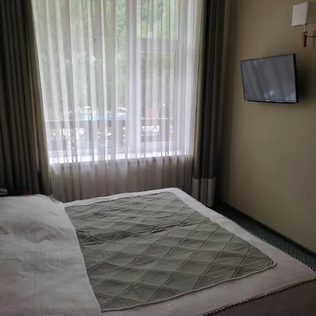 карпатські зорі Spahotel