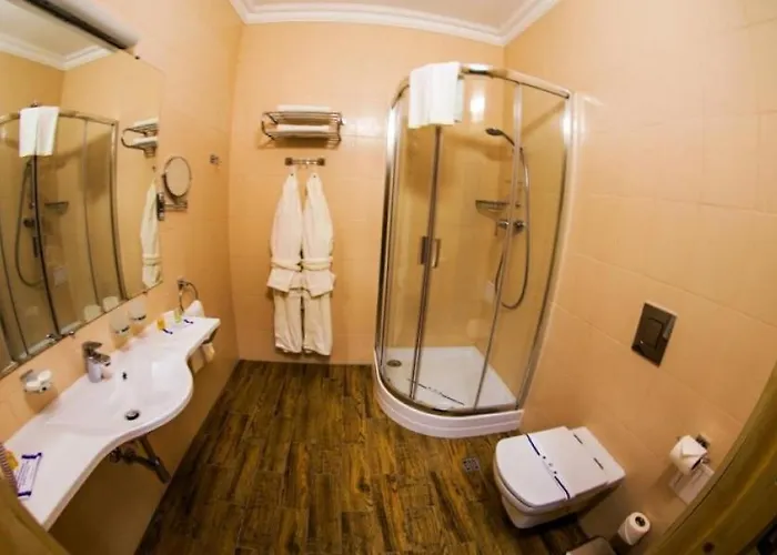 карпатські зорі Spahotel Yaremche