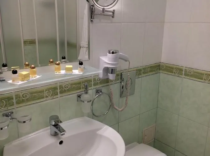карпатські зорі Spahotel Отель